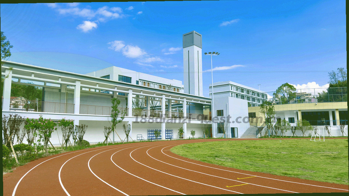 同一块电子元件分叉出两条发光数据路径，一条偏蓝一条偏青，象征两套首页版本